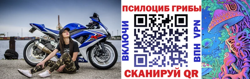 Псилоцибиновые грибы ЛСД  сколько стоит  Чкаловск 