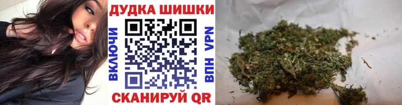 Конопля ГИДРОПОН  Чкаловск 